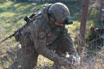 В ДНР разминируют 22 тысячи гектаров вдоль старой линии фронта