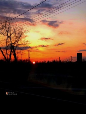 Игорь Мартынов: Счастливого выходного дня!