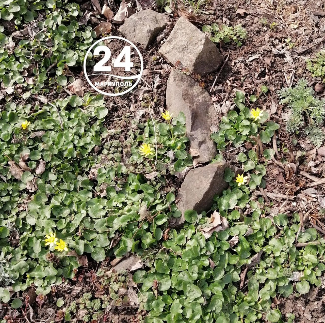 Весна окончательно вступила в свои права!