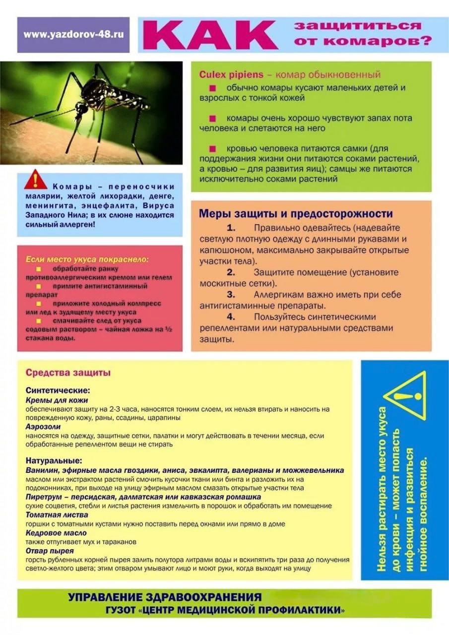 Опасные комары. Меры профилактики Опасные комары. Меры профилактики