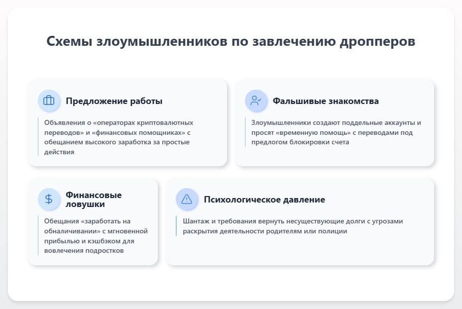 Денис Зубов: Дропперство: растущая проблема Денис Зубов: Дропперство: растущая проблема