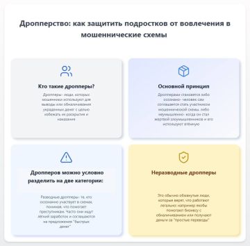 Денис Зубов: Дропперство: растущая проблема