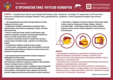 Опасные комары. Меры профилактики