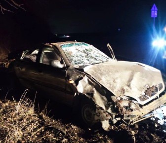 ����������� ������������� �������������� ������������ ���