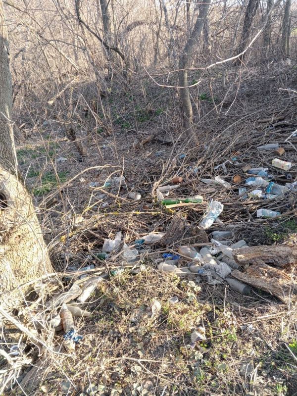 Оперативная сводка по благоустройству Амвросиевского округа на 23.03.2026 Оперативная сводка по благоустройству Амвросиевского округа на 23.03.2026