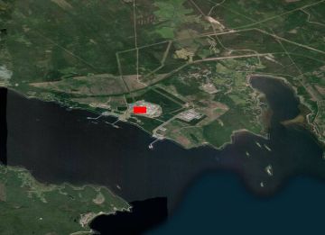 ���������� ��� ����� 50 ������������� ��� �����������