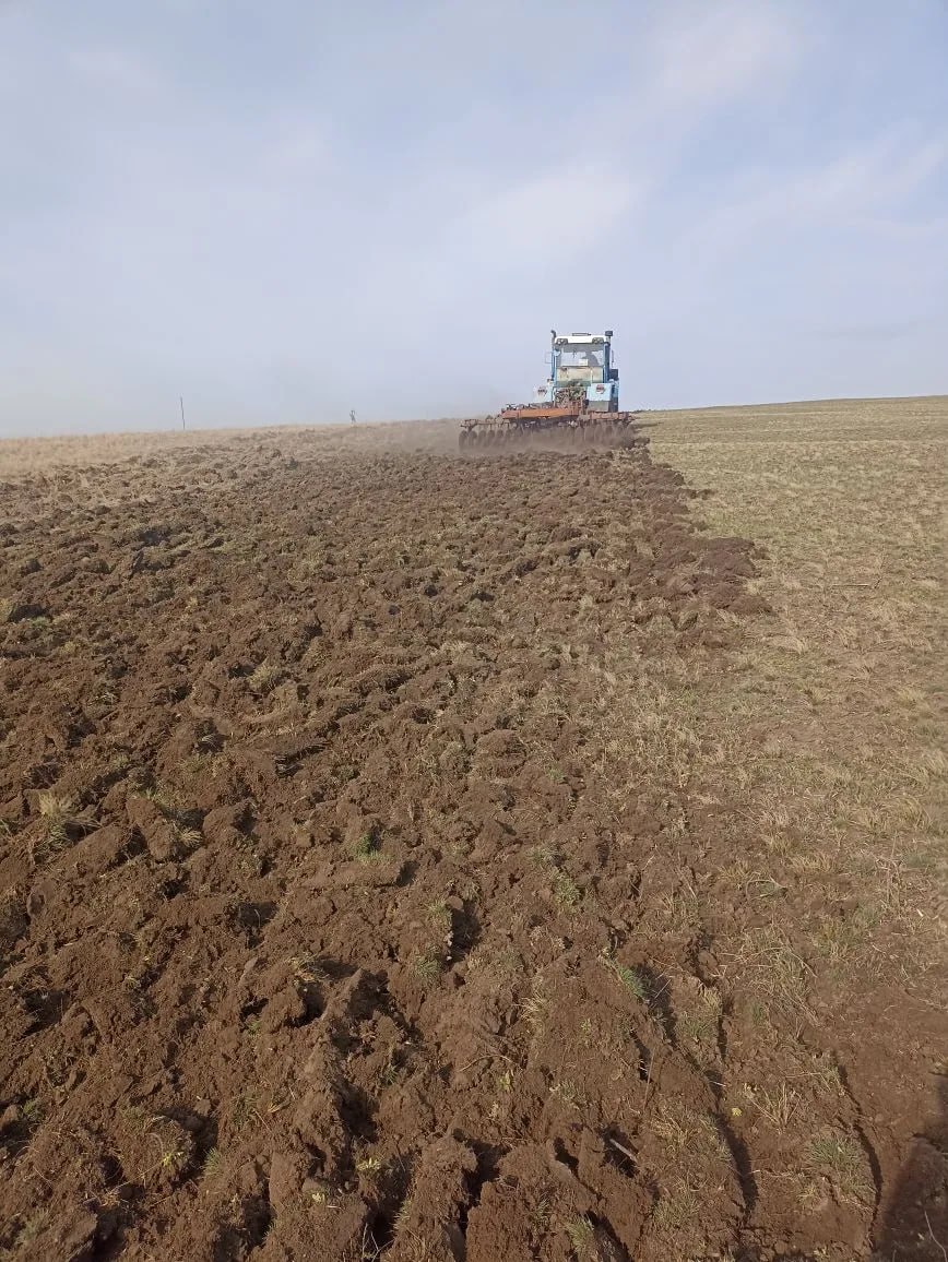 Наталья Великодная: С наступлением теплого сезона противопожарная безопасность выходит на первый план — в нашем округе уже началась опашка минерализованных полос