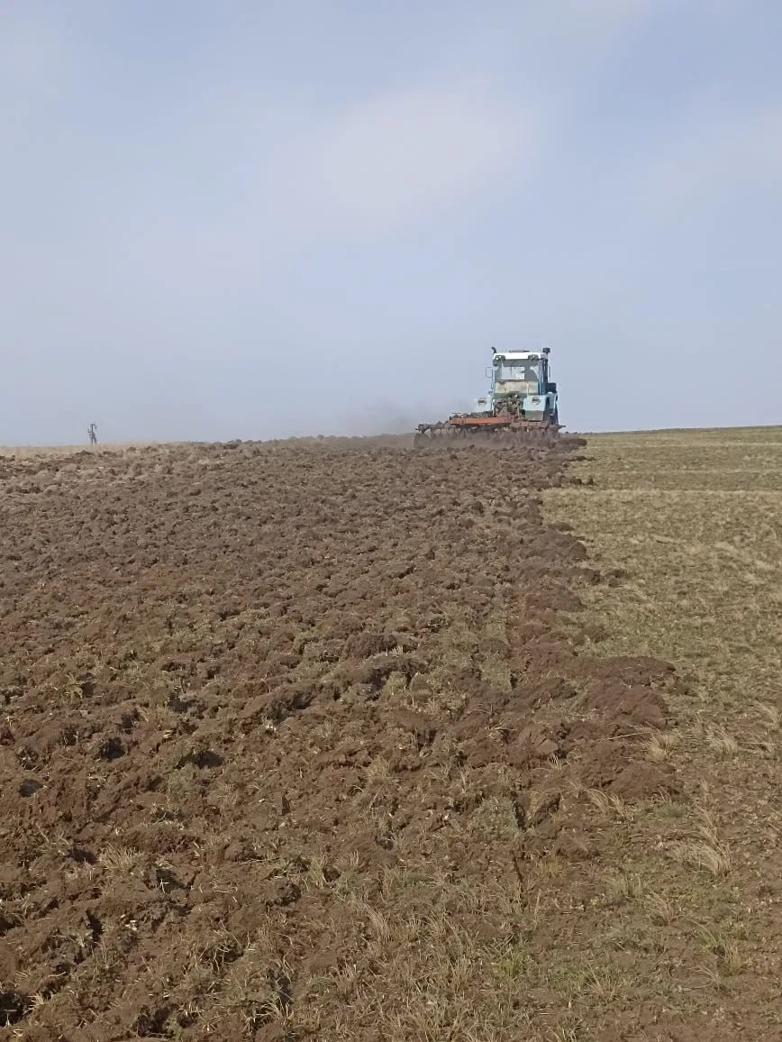 Наталья Великодная: С наступлением теплого сезона противопожарная безопасность выходит на первый план — в нашем округе уже началась опашка минерализованных полос Наталья Великодная: С наступлением теплого сезона противопожарная безопасность выходит на первый план — в нашем округе уже началась опашка минерализованных полос