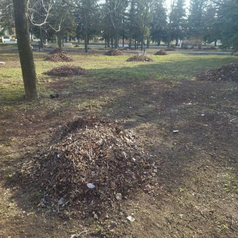 В Кировском продолжаются мероприятия по благоустройству В Кировском продолжаются мероприятия по благоустройству