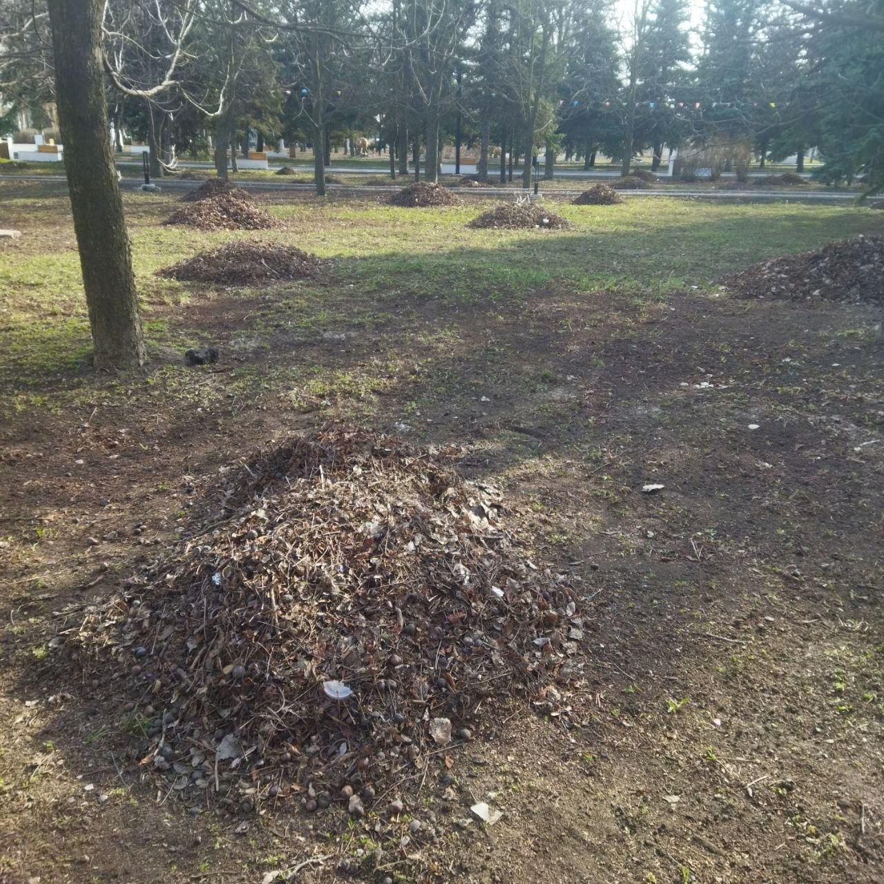 В Кировском продолжаются мероприятия по благоустройству В Кировском продолжаются мероприятия по благоустройству