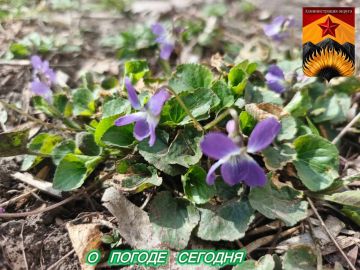 ��������� �����: ������������� ������� � ������ � ���������� ������