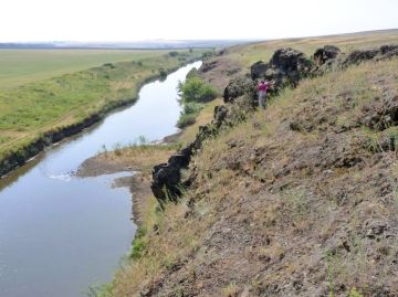 ����������� ����� ��������� ���� � ��������� ������ ������ �� ������� �� ������������� ������ ������ ������ � ���������� ��������������� ���������� (���, ���, ����������� ���., ���������� ���.)� � ������������ ����...