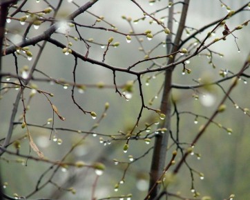 ������ ��������: ������������� ��������. 24 ����� � �������� �������� ���������� ������� � ������������, ������� ��������� �����