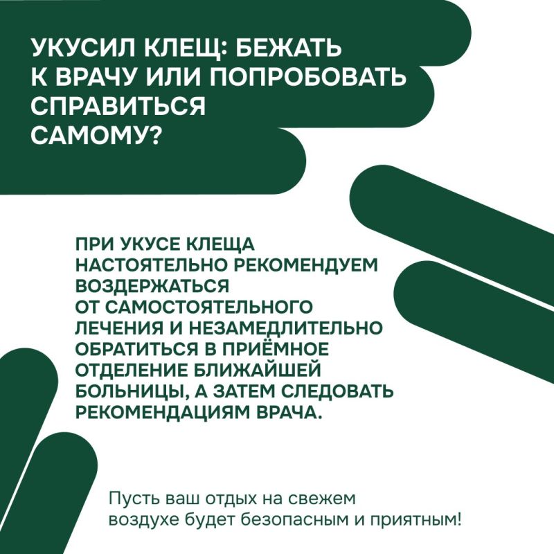 Осторожно, клещи! Как защитить себя и близких в сезон активности? Осторожно, клещи! Как защитить себя и близких в сезон активности?
