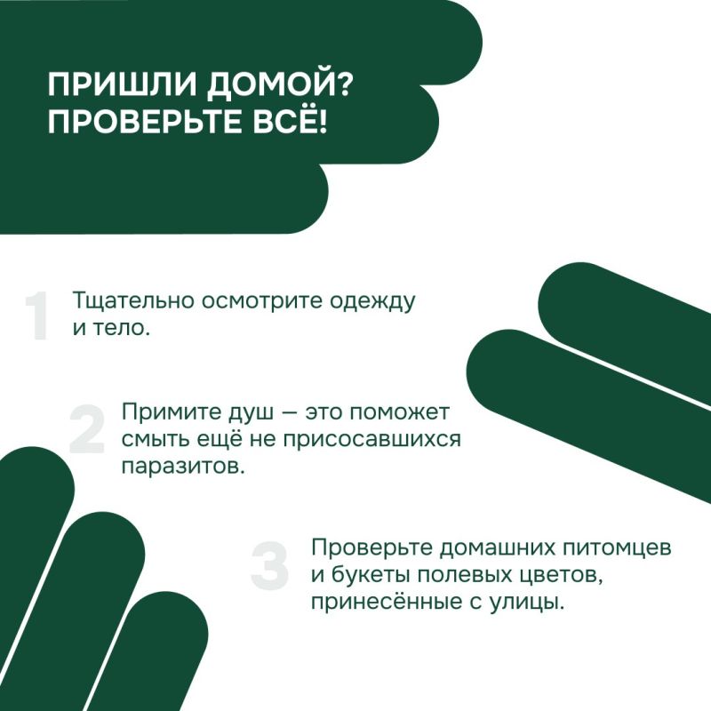 Осторожно, клещи! Как защитить себя и близких в сезон активности? Осторожно, клещи! Как защитить себя и близких в сезон активности?