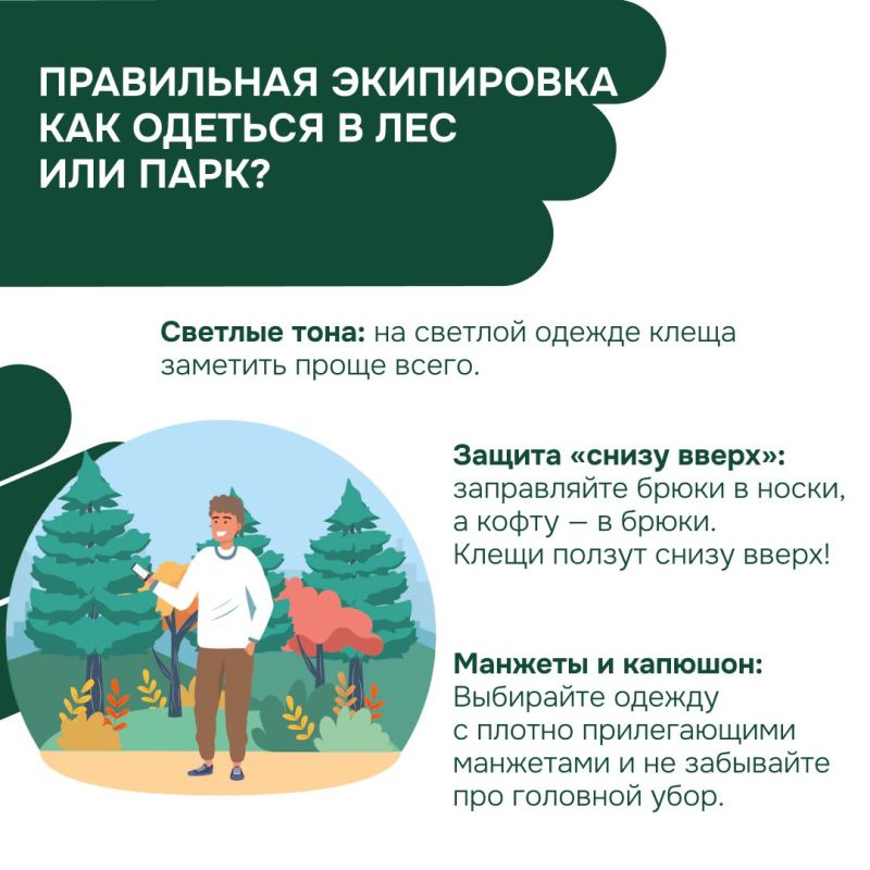 Осторожно, клещи! Как защитить себя и близких в сезон активности? Осторожно, клещи! Как защитить себя и близких в сезон активности?