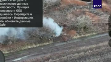 �� �� ���������� ������������ ������� �119 � ��������, �������� � �� ��