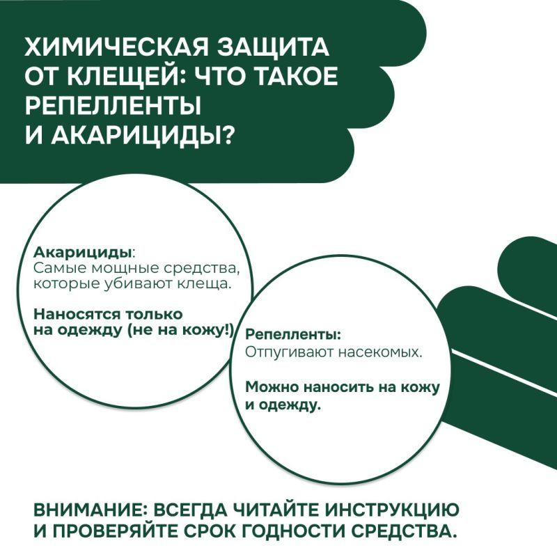 Осторожно, клещи! Как защитить себя и близких в сезон активности? Осторожно, клещи! Как защитить себя и близких в сезон активности?