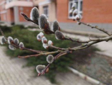 24 ����� � ���������� ���������� ����������, ���� ��������� �����