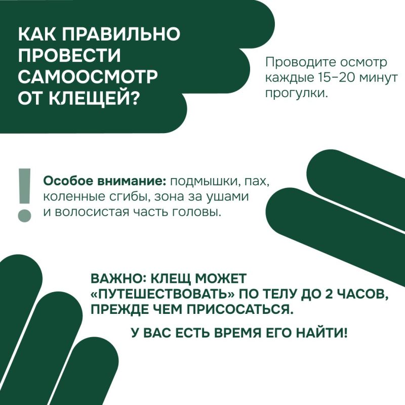 Осторожно, клещи! Как защитить себя и близких в сезон активности? Осторожно, клещи! Как защитить себя и близких в сезон активности?