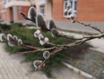 24 ����� � ���������� ���������� ����������, ���� ��������� �����