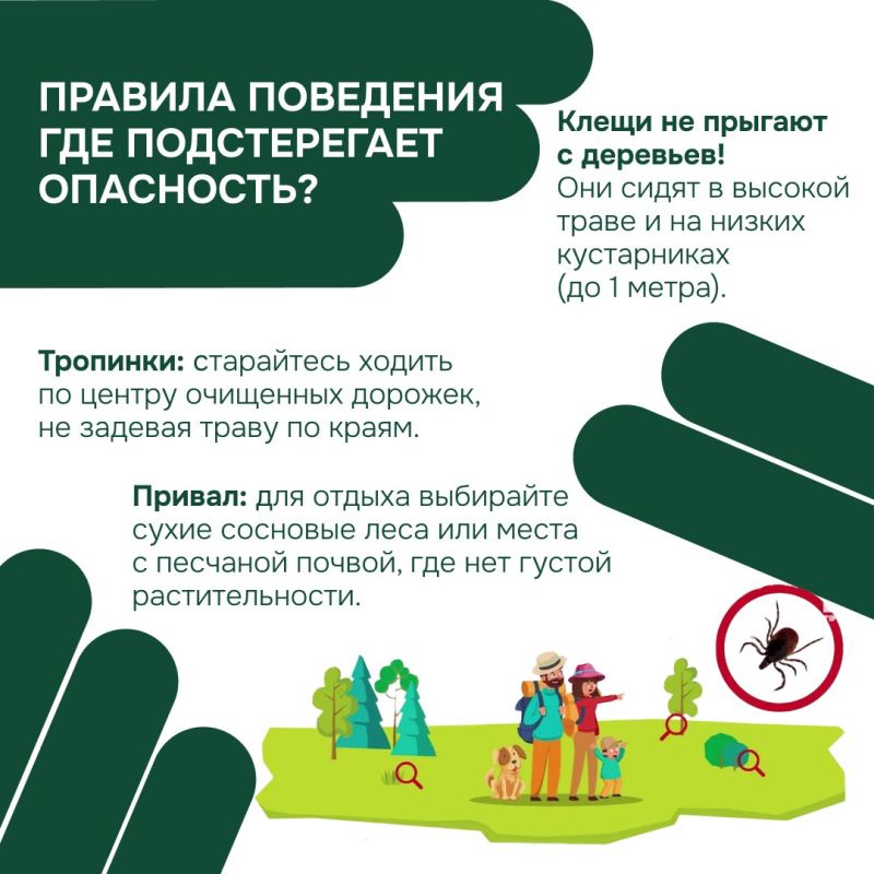 Осторожно, клещи! Как защитить себя и близких в сезон активности? Осторожно, клещи! Как защитить себя и близких в сезон активности?