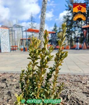 ��������� �����: ������������� ������� � ������ � ���������� ������