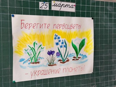 ���� ���� �������, �������� ����������!