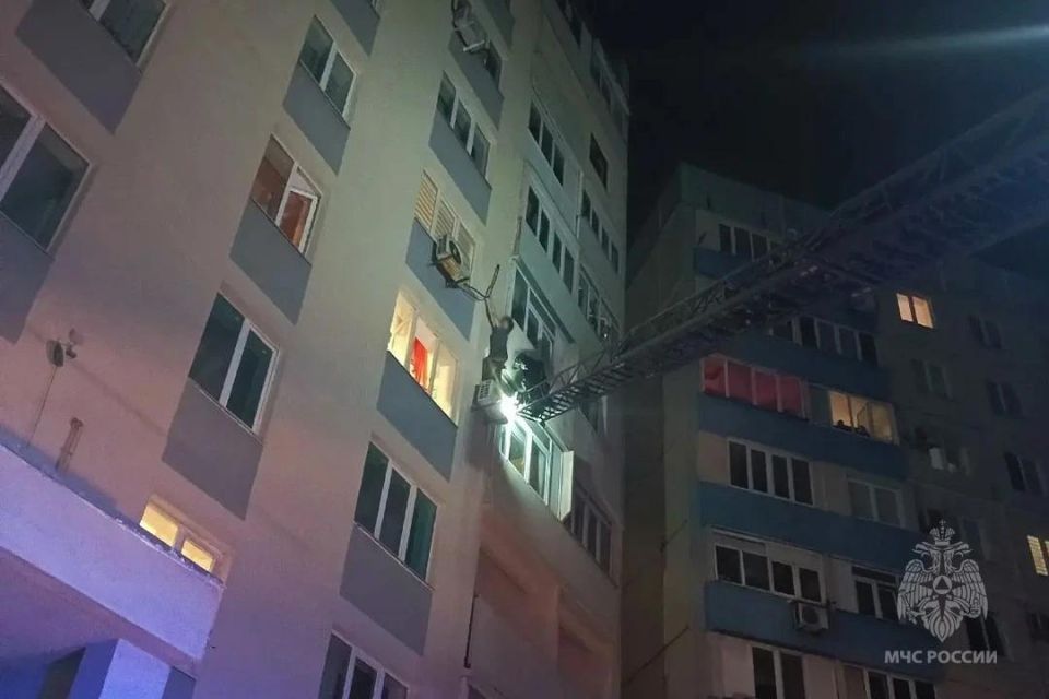 На грани: в Мариуполе сотрудники МЧС России спасли девушку с 12-метровой высоты На грани: в Мариуполе сотрудники МЧС России спасли девушку с 12-метровой высоты