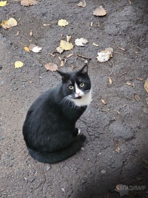 ����� ��������: � ����� ����!. #�������� #������������������ #���������������