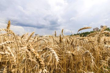 ���� � ��� ����� ������������� �� ������ ����� ���������������: ���� �� 2026 ��� ��� ���������