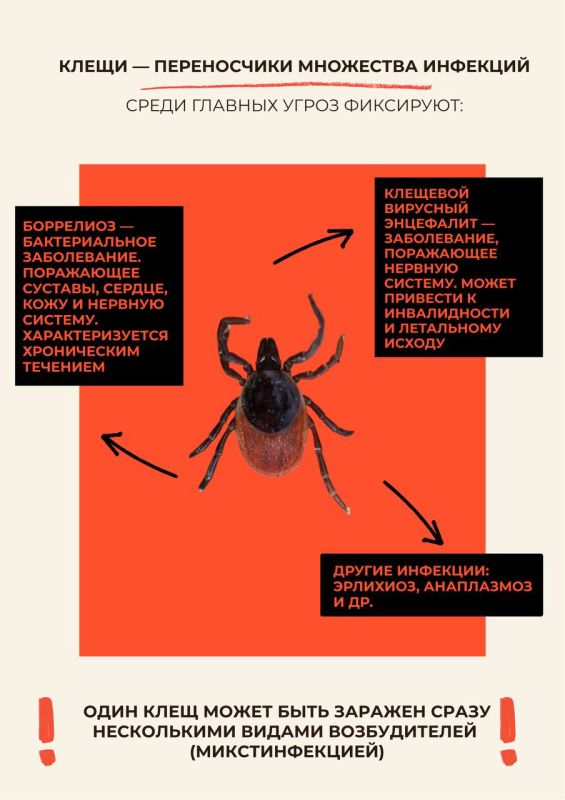 С приходом весны просыпается не только природа, но и клещи С приходом весны просыпается не только природа, но и клещи