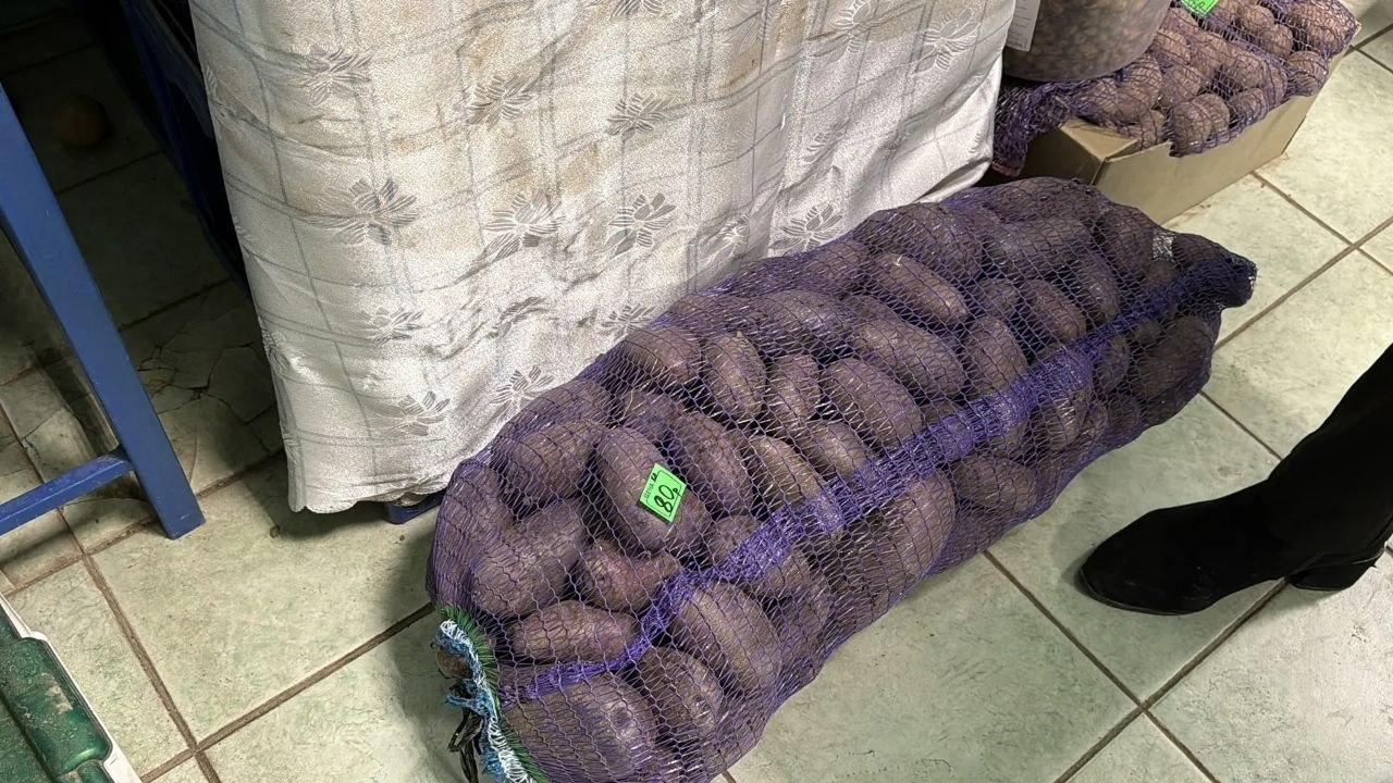 Наталья Великодная: В рамках проекта Единой России Народный контроль Тельмановского округа совместно с отделом стратегического развития и планирования администрации округа провели проверку в пгт Наталья Великодная: В рамках проекта Единой России Народный контроль Тельмановского округа совместно с отделом стратегического развития и планирования администрации округа провели проверку в пгт