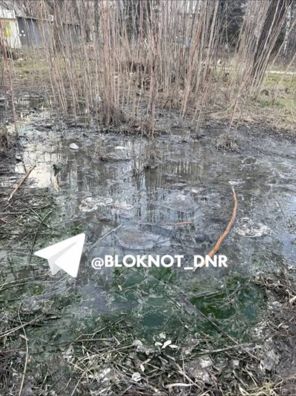Зелёное вонючее болото злило детскую площадку в Киевском районе Донецка Зелёное вонючее болото злило детскую площадку в Киевском районе Донецка