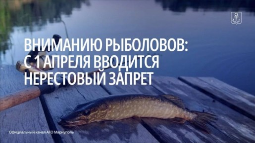 ������ ������ �� ����� ���� ����� ����������� �� 31 ��� � ���������������� �� ��� ���� � ����������� � ��� �������: ����, �������, ������� � �.�