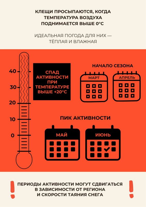 С приходом весны просыпается не только природа, но и клещи С приходом весны просыпается не только природа, но и клещи