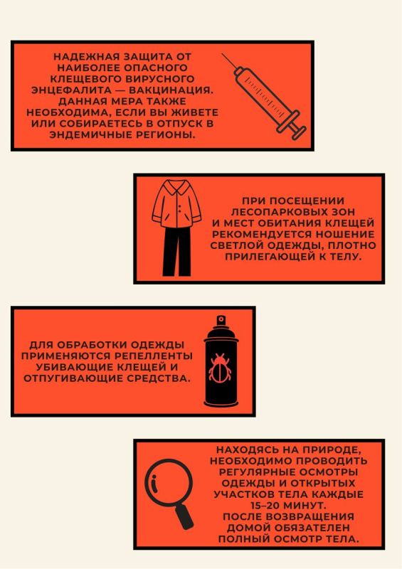 С приходом весны просыпается не только природа, но и клещи С приходом весны просыпается не только природа, но и клещи
