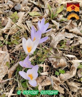 Александр Шатов: Гидрометцентр сообщил о погоде в Шахтерском округе