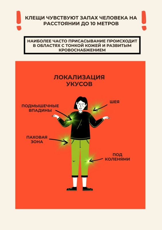 С приходом весны просыпается не только природа, но и клещи С приходом весны просыпается не только природа, но и клещи