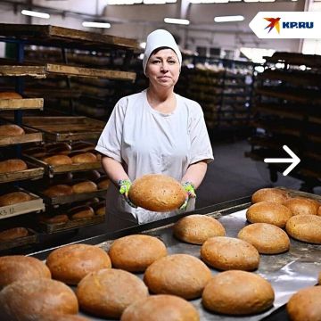 «Знает о хлебе всё»: инженер-технолог из ДНР Ольга Коцегуб стала лучшим наставником России