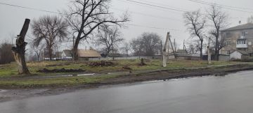 ������������� �� ����������� ������� �� ����������� �����������