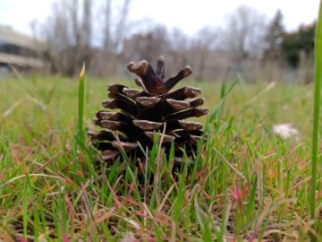 ������ ���� ������� ���������� ������� ��������!