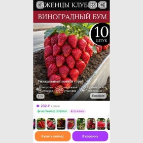 Эксперты предостерегли дачников от покупки странных растений на маркетплейсах