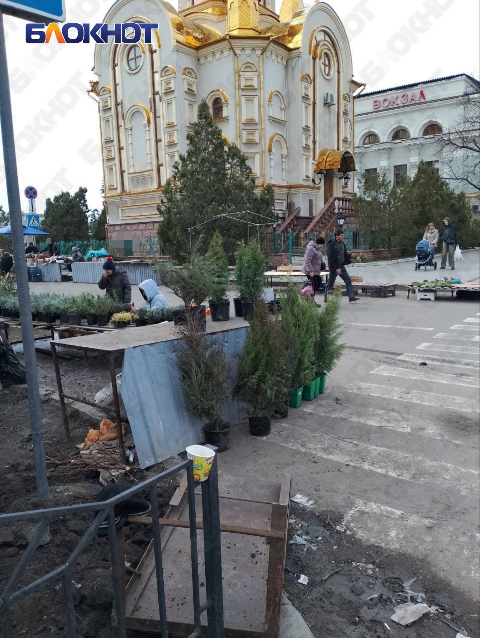 Цыгане нелегально торгуют на стихийном рынке возле «Аквилона», который хотят снести Цыгане нелегально торгуют на стихийном рынке возле «Аквилона», который хотят снести