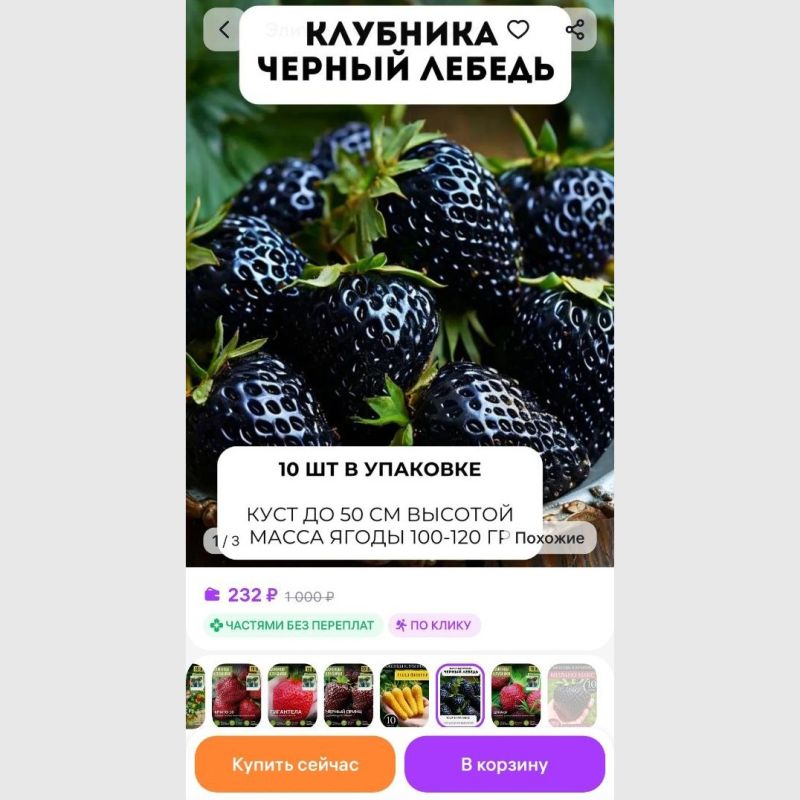 Эксперты предостерегли дачников от покупки странных растений на маркетплейсах Эксперты предостерегли дачников от покупки странных растений на маркетплейсах