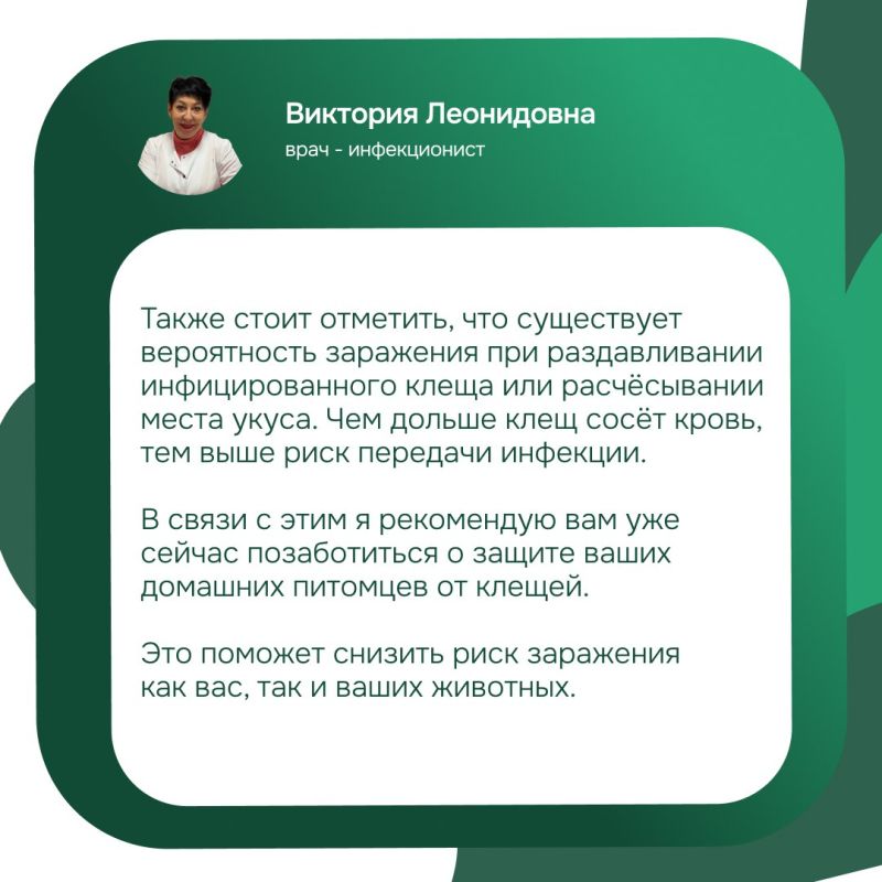 В этом сезоне клещи будут не такими, как раньше В этом сезоне клещи будут не такими, как раньше