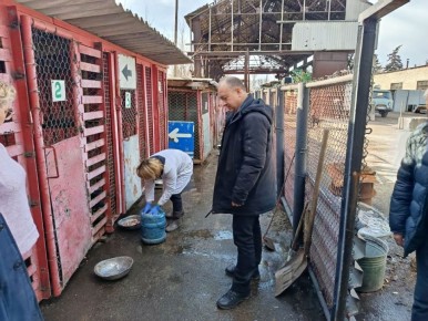 ���� ���������: � �������� ������� ����������� ������ ������ ������ ������� ��������� ����