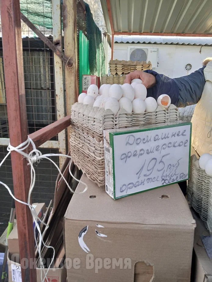 Пасха — не повод повышать цены: ФАС предостерегла магазины от подорожания куриных яиц