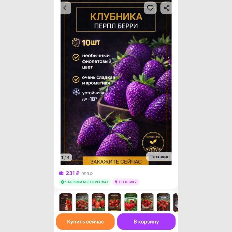 Эксперты предостерегли дачников от покупки странных растений на маркетплейсах Эксперты предостерегли дачников от покупки странных растений на маркетплейсах