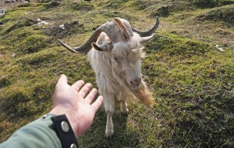 � ���������� ������������ ��������� �� ������ ����� ������� ������� ����� ��� �� ����� � ������������� � ������� ������� �� ������ ����